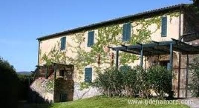 La Pergola, Privatunterkunft im Ort Toscana, Italien